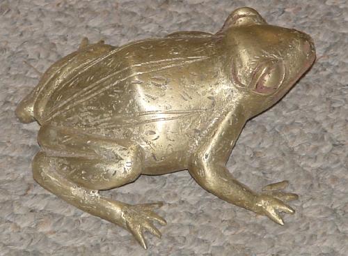 #312 - Bronze Frog, cameroon.