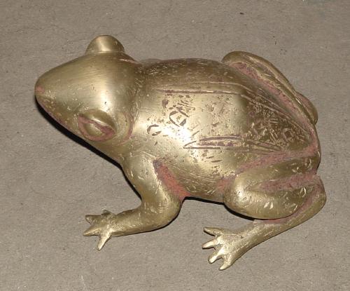 #313 - Bronze Frog, cameroon.