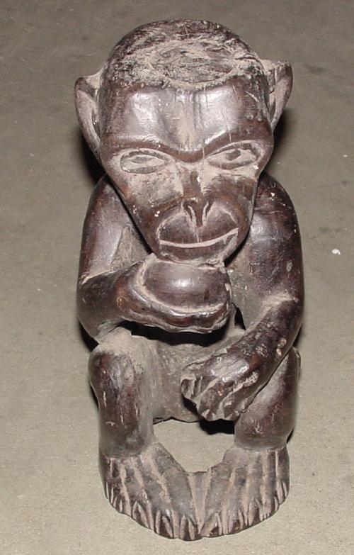 #346 - Monkey, Baola, Cameroon.